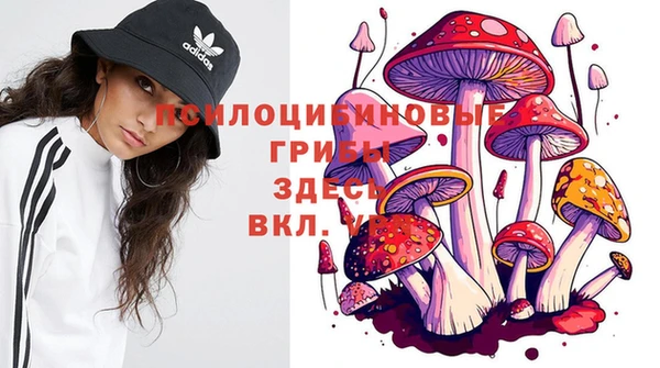 MDMA Premium VHQ Алзамай