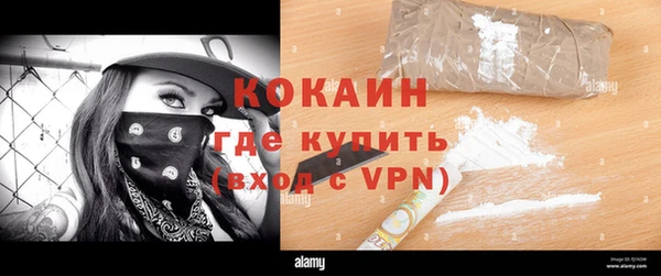твердый Алексин