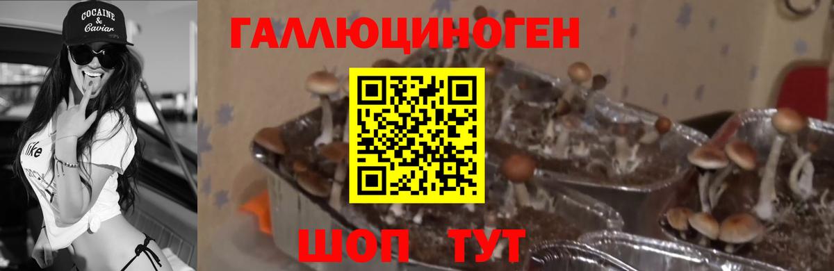 Санкт-Петербург  Галлюциногенные грибы ЛСД  Вход с VPN 