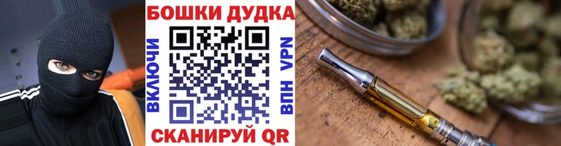 как найти закладки  mega ссылки  Шишки марихуана план  Санкт-Петербург 